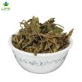 Organic Gymnema Sylvestre | 100% Natural & Pure Quality Gur Mar Booti for Natural Health. 