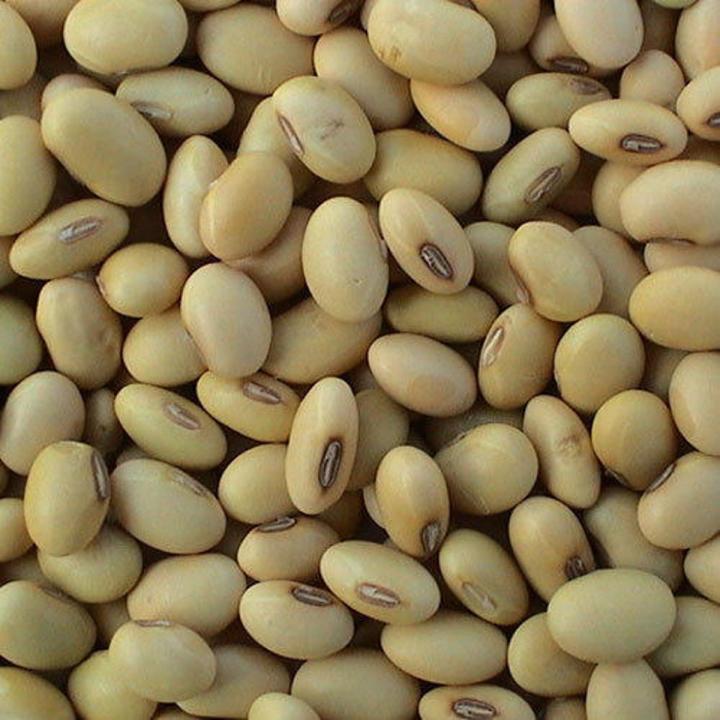 Soya Bean Seeds 1 kg