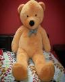 6 Feet Giant Teddy Bears Light Brown. 