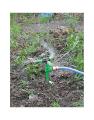 Garden Sprinklers Rotating Plant Watering Garden Shower. 