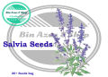 Salvia divinorum Seeds by Bin Azaz/Salvia Seeds. 