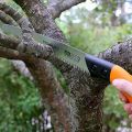 Mini Hand Saw with Anti Skid Handle 10.6 inches Garden Prune Saw Fixed Blade Saw, Stainless Steel Blade. 