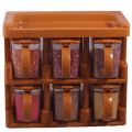 Spice Jars Rack, Masala Jars Box Set ( 6 Pieces ), Wall Mountable (random colours)| SJR Collections. 