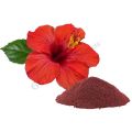 Hibiscus powder for face | Hibiscus Flower Powder for Hair 100 Grams Hibiscus powder for face | Hibiscus Flower Powder for Hair 100 Grams Hibiscus powder for face | Hibiscus Flower Powder for Hair 100 Grams. 
