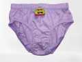 Pack Of 6 Cotton Underwear  Painties  Undergarments for Girls/Womens /ladies by Elimentery Store in Multi color By Elimentery Store. 