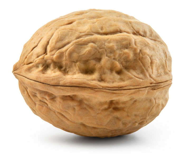 Akhrot Shell Fresh Desi Walnuts 500gram | Chitrali Akhrot | AKHROT | FRESH WALNUT ...