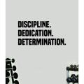 Discipline Dedication Determination Wall Decal Sticker Vinyl Art Bedroom Room Decor Teen Quote Inspirational Boy Girl Motivational Work Out Gym Run Cardio Beast Health Lift Fitness School Work Office. 