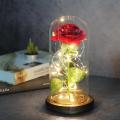 Valentine's Day Gift for Her, Beauty and The Beast Rose Flowers, Rose Flower Gifts for Women, Unique Present for Her on Thanksgiving  Valentines Day Anniversary. 