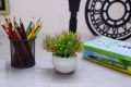 Artificial Plant for Home & Office Décor - Desk Plant, Table Plant, Shelf Plant, Cute Plant, Office Table Plant, Shelf Plant, Kitchen Plant, Study Table Plant, Green Artificial Plant and Flowers for House Decor - Plant for Indoor and Ourtdoor Decor. 