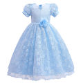 Toddler Girls Lace Princess Dress, Sleeveless Round Neck 3D Flower Formal Dress Party Gown. 