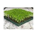 Professional Compost Soil For All Type Seed Germination Seedling Plants - 5L. 