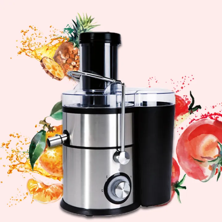 800%20Watt%202%20Speed%20Stainless%20Steel%20Juice%20Extractor%20With%20Over%20Heat%20Protection%20-%20Image%205