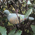Pigeon Decoy Pair. 