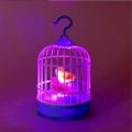 Cute Mini Bird Cage Toy with Moving Birds, Chirps, and Lights – VIP Color Edition. 