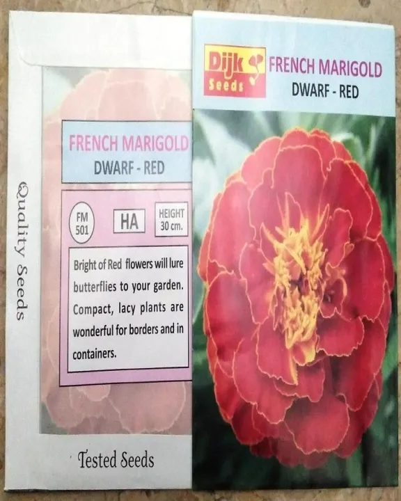 French%20Marigold%20Dwarf-Red%20-%20Image%203