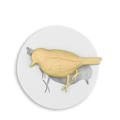Silicone/mold Mold Air Dry Clay Molds Molds And Clay Moulds Bird Mold Molds. 