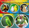 UK Bird Toys Wooden Hanging Hammock Climbing Natural wooden bird toys cage accessories Natural Pet Birds Cage Toys for Small Parakeet Cockatiel Conures Finches Budgie Love Birds Multi Colored spiral. 