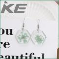 Dried flower transparent acrylic geometric resin earrings temperament personality stud earrings for gilrs for women low price. 