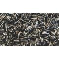 Sunflower Seeds For Household and Birds. 