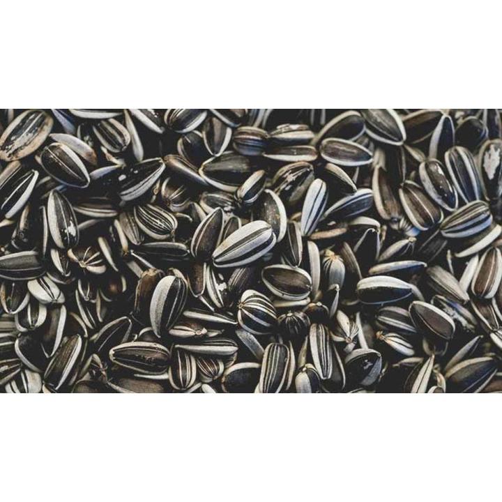 Sunflower Seeds For Household and Birds