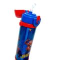 Disney Boys Cartoon Characters Stainless Steel Water Bottle - Double Wall Insulated, Vacuum Bottle With Straw for School Kids- 500ml Capacity. 