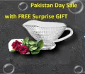 Raita/Chutney Serving Glass Bowl with Handle/Glass Boat. 