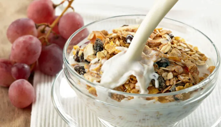 Oatmeal%20/%20muesli%20500%20gram%20with%20dry%20fruits%20ADLO%20-%20Image%204