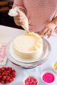DIY Icing Piping Cream Pastry Bags + 7PCS Plastic Nozzle Cake Decorating Tools Mould. 
