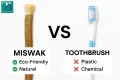 Miswak Toothbrush Pack of 3 Miswak + 3 Plastic Holder | Premium Quality Miswak and Holder | Portable Plastic Holder with Miswak. 