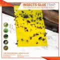 Pack 1 Sheet Aphid Trap , Double-sided Bug Fly Trap, Fly Trap Stickers , Glue Board Adhesive Traps , Yellow Sticky Insect Catcher , Flycatcher. 