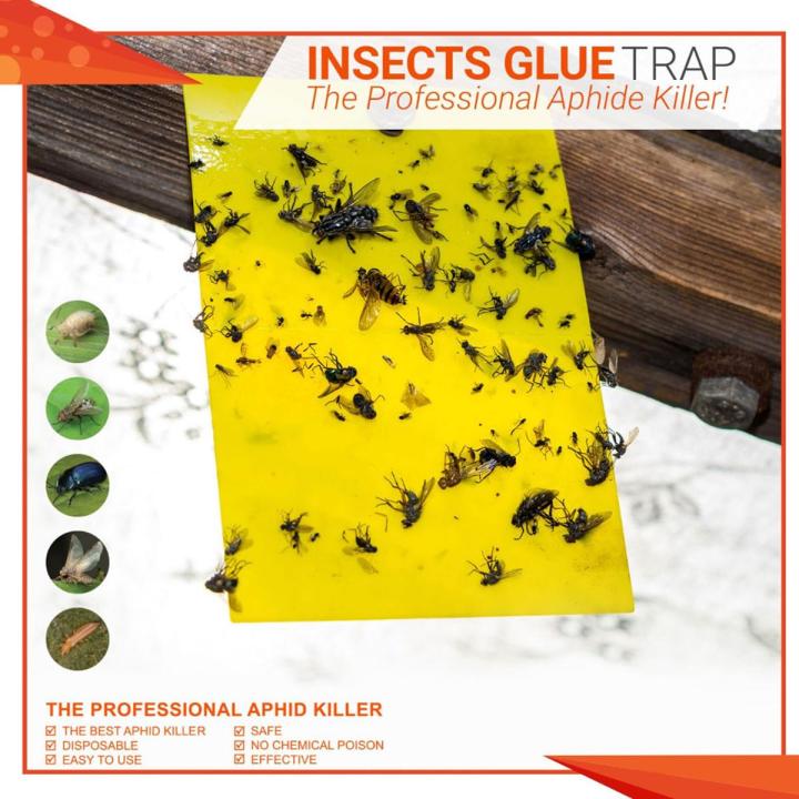 Pack 1 Sheet Aphid Trap , Double-sided Bug Fly Trap, Fly Trap Stickers , Glue Board Adhesive Traps , Yellow Sticky Insect Catcher , Flycatcher