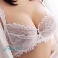 Embroidered Lace Transparent Bra White. 