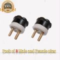 "Premium 2 Pin Male Plug with High-Temperature Ceramic Base - 250V, 10/16/20A for Household Appliances". 