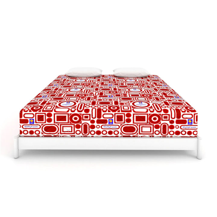 MoltyFoam Firm Mattress