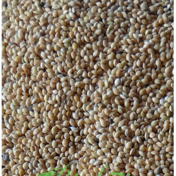 Cheena - Broomcorn Millet 1-KG / چینا