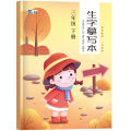 Synchronous practice of calligraphy, first, second, and third grade primary school students, pencil drawing, red book, Chinese character language copying. 
