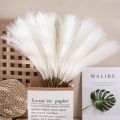 Mini Pampers Reed Grass INS Style Artificial Flower Home Decoration Wedding Dried Flowers Family Party. 