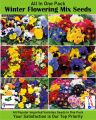 All in One Winter Flowering Imported Seeds Pack. 