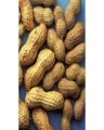 Special Peanuts - 1000g. 