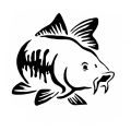 Fashion Carp Fishing Hood Tailgate Side Window Car Truck Art Sticker Decal Decor. 