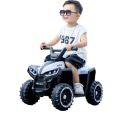 Baby Car Electric Quad Bike. 