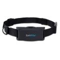 BarkWise Vibration anti-barking collar. 