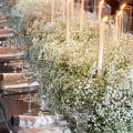 100g Dried Baby's Breath Flowers Bouquet White Dry Flowers Bulk,Real Natural Gypsophila Branches for Wedding, DIY Wreath Floral. 