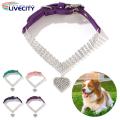 Pet Pendant Necklace Allergy Free Medium Dog Cat Fade-resistant Necklace with Pendant. 