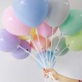Premium Macron Balloons - Premium Macron Color Latex (10, 25, 50 and 100) Pieces. 
