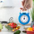 Hanging Weight Scale 10kg Spring Weight Scale Spring Balance Hook Scale. 