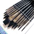 Worison Professional Artist Synthetic Squirrel Hair Watercolor Paint Brushes Set For Painting 12pcs. 