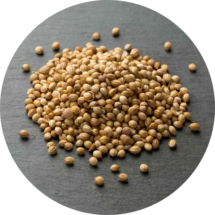 coriander%20seeds%20(Dhania%20k%20beej)(%D8%AF%DA%BE%D9%86%DB%8C%D8%A7%20%DA%A9%DB%92%20%D8%A8%DB%8C%D8%AC)Desi/Germinated/Best%20Quality/Fast%20growing/Excellent%20Germination/High%20Quality/Healthy%20Vegetable%20Seeds/Vegetable/Home/Kitchen/Gardening%20seeds/beej/Vegetables%20Seeds%20Packet%20-%20Image%203