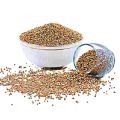 Bajra باجرہ  | Premium Pearl Millet Seeds For all kind of Birds - 1 KG. 