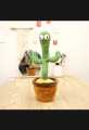 Rechargeable Dancing Cactus Toy-Talking Cactus Toy-Electronic Dancing Cactus Toy with Lighting-Singing Cactus Recording and Repeat Your Words. 